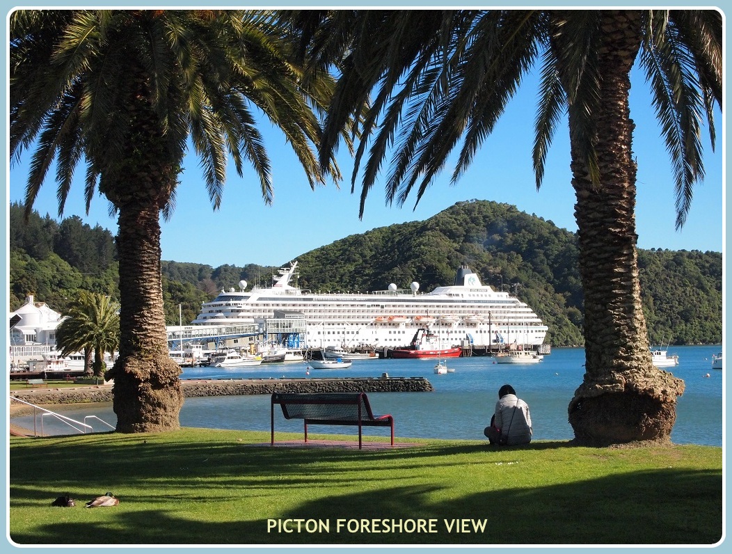 Shore Excursion: Highlights of Marlborough Wine Region from Picton